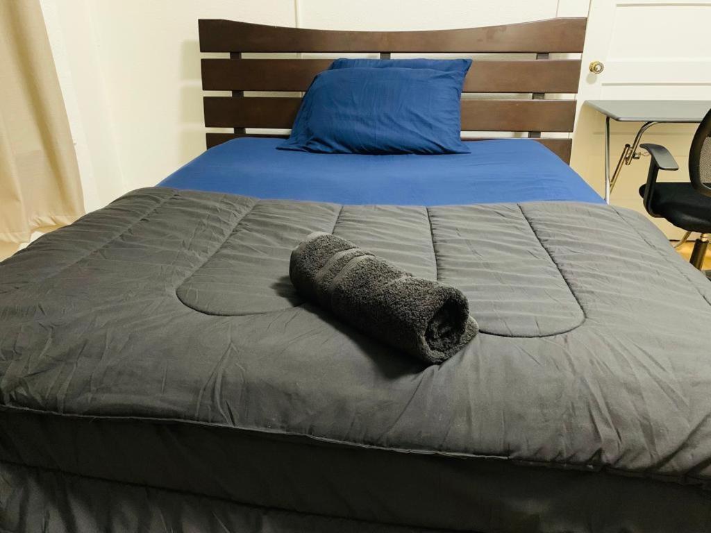 San Francisco Zen Home מראה חיצוני תמונה